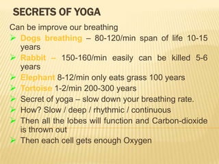 Secrets of yogaCan be improve our breathingDogs breathing – 80-120/min span of life 10-15 years