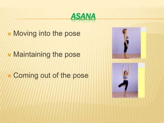 Rabbit – 150-160/min easily can be killed 5-6 years