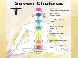 Tortoise 1-2/min 200-300 years