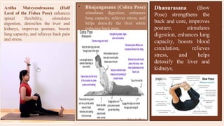 - Bhujangasana (Cobra Pose)
stimulates digestion, enhances
lung capacity, relieves stress, and
helps detoxify the liver while
reducing back pain.
Ardha Matsyendrasana (Half
Lord of the Fishes Pose) enhances
spinal flexibility, stimulates
digestion, detoxifies the liver and
kidneys, improves posture, boosts
lung capacity, and relieves back pain
and stress.
Dhanurasana (Bow
Pose) strengthens the
back and core, improves
posture, stimulates
digestion, enhances lung
capacity, boosts blood
circulation, relieves
stress, and helps
detoxify the liver and
kidneys.
 