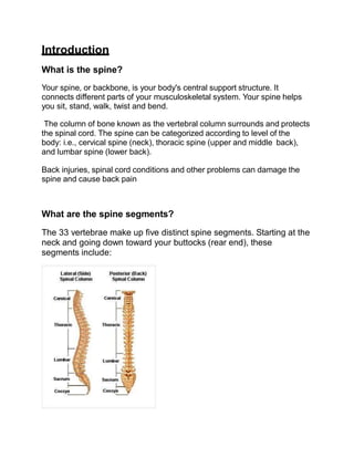 Yoga and Spinal Health - yoga teacher training course project work ...