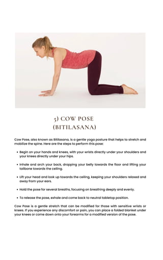 Begin on your hands and knees, with your wrists directly under your shoulders and
your knees directly under your hips.
Inhale and arch your back, dropping your belly towards the floor and lifting your
tailbone towards the ceiling.
Lift your head and look up towards the ceiling, keeping your shoulders relaxed and
away from your ears.
Hold the pose for several breaths, focusing on breathing deeply and evenly.
To release the pose, exhale and come back to neutral tabletop position.
Cow Pose, also known as Bitilasana, is a gentle yoga posture that helps to stretch and
mobilize the spine. Here are the steps to perform this pose:
Cow Pose is a gentle stretch that can be modified for those with sensitive wrists or
knees. If you experience any discomfort or pain, you can place a folded blanket under
your knees or come down onto your forearms for a modified version of the pose.
5) COW POSE
(BITILASANA)
 