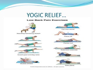 YOGIC RELIEF…
 