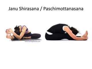 Janu Shirasana / Paschimottanasana
 
