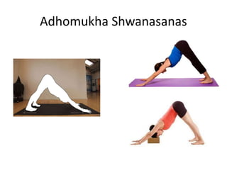 Adhomukha Shwanasanas
 