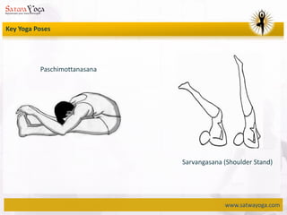 www.satwayoga.com
Key Yoga Poses
Paschimottanasana
Sarvangasana (Shoulder Stand)
 