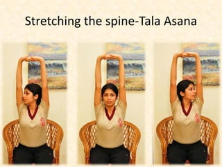 Stretching the spine-Tala Asana
 