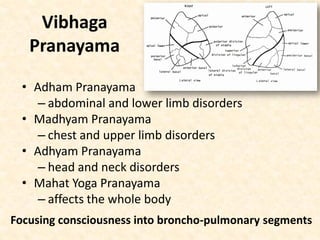 Vibhaga
Pranayama
• Adham Pranayama
– abdominal and lower limb disorders
• Madhyam Pranayama
– chest and upper limb disorders
• Adhyam Pranayama
– head and neck disorders
• Mahat Yoga Pranayama
– affects the whole body
Focusing consciousness into broncho-pulmonary segments
 