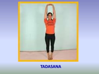 TADASANA
 