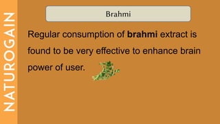 Brahmi
Regular consumption of brahmi extract is
found to be very effective to enhance brain
power of user.
 