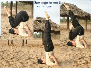Sarvanga Asana &
variations
 
