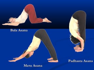 Bala AsanaBala Asana
Meru AsanaMeru Asana
Padhasta AsanaPadhasta Asana
 
