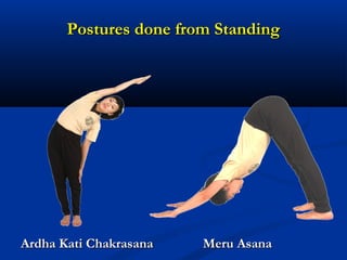 Postures done from StandingPostures done from Standing
Meru AsanaMeru AsanaArdha Kati ChakrasanaArdha Kati Chakrasana
 