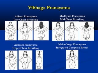 Vibhaga PranayamaVibhaga Pranayama
Adham PranayamaAdham Pranayama
Low Chest BreathingLow Chest Breathing
Madhyam Pranayama
Mid Chest Breathing
Adhyam Pranayama
Upper Chest Breathing
Mahat Yoga Pranayama
Integrated Complete Breath
 