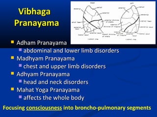 VibhagaVibhaga
PranayamaPranayama
 Adham PranayamaAdham Pranayama
 abdominal and lower limb disordersabdominal and lower limb disorders
 Madhyam PranayamaMadhyam Pranayama
 chest and upper limb disorderschest and upper limb disorders
 Adhyam PranayamaAdhyam Pranayama
 head and neck disordershead and neck disorders
 Mahat Yoga PranayamaMahat Yoga Pranayama
 affects the whole bodyaffects the whole body
Focusing consciousness into broncho-pulmonary segments
 