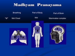 Madhyam PranayamaMadhyam Pranayama
“U”
Breathing Part of Body Part of Brain
Mid Chest Mid Mammalian complex
 