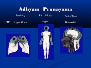 Adhyam PranayamaAdhyam Pranayama
“M”
Breathing Part of Body Part of Brain
Upper Chest Upper Neo-cortex
 