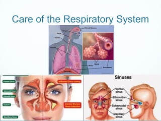 Care of the Respiratory System
 