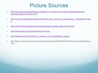 Picture Sources
 http://www.faqs.org/health/Body-by-Design-V1/The-Muscular-System-Workings-how-the-
muscular-system-functions.html
 http://commons.wikimedia.org/wiki/File:Neem_tree,_branches_arrangement,_TamilNadu415.jpe
g
 http://www.freedrinkingwater.com/water-education/quality-water-fluoride.htm
 http://www.webmd.com/brain/picture-of-the-ear
 http://howikis.com/Use_Ginger_to_Improve_Your_Respiratory_System
 http://legacy.owensboro.kctcs.edu/gcaplan/anat2/notes/APIINotes4%20respiratory%20anatomy
.htm
 