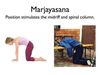 Marjayasana
Position stimulates the midriff and spinal column.
 