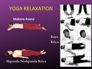 YOGA RELAXATION
Makara Asana
Shpanda Nishpanda KriyaShpanda Nishpanda Kriya
KayaKaya
KriyaKriya
 