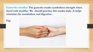 Ganesha mudra: The ganesha mudra symbolizes strength when
faced with troubles. We should practice this mudra daily .It helps
stimulate the metabolism and digestion .
Fig:
 