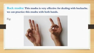 Back mudra: This mudra is very effective for dealing with backache.
we can practice this mudra with both hands.
Fig:
 