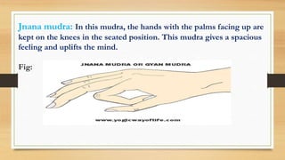 Jnana mudra: In this mudra, the hands with the palms facing up are
kept on the knees in the seated position. This mudra gives a spacious
feeling and uplifts the mind.
Fig:
 