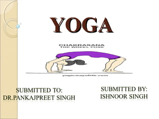 YOGAYOGA
 