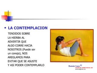 LA CONTEMPLACION  TENDIDOS SOBRE  LA HIERBA AL ADVERTIR QUE  ALGO CORRE HACIA NOSOTROS (Puede ser  un conejo), NOS AREGLAMOS PARA  EVITAR QUE SE ASUSTE Y ASI PODER CONTEMPLARLO  