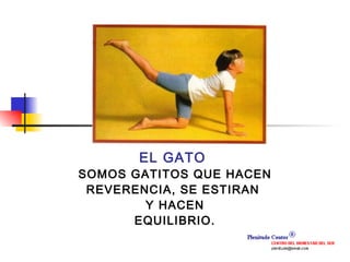 EL GATO  SOMOS GATITOS QUE HACEN REVERENCIA, SE ESTIRAN  Y HACEN EQUILIBRIO. 