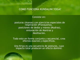 COMO FUNCIONA KUNDALINI YOGA? Consiste en: posturas (Asanas) con ejercicios especiales de respiración (Pranayama),  posiciones de dedos y manos (Mudras), entonación de Mantras y  Meditación.  Todo esto en forma conjunta y secuencial, crea efectos exactos y específicos. Una Kriya es una secuencia de posturas, cuyo impacto total producen un efecto dominó. 
