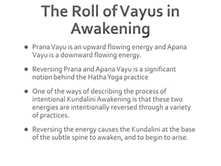 The Roll of Vayus in AwakeningPrana Vayu is an upward flowing energy and Apana Vayu is a downward flowing energy.Reversing Prana and Apana Vayu is a significant notion behind the Hatha Yoga practice One of the ways of describing the process of intentional Kundalini Awakening is that these two energies are intentionally reversed through a variety of practices. Reversing the energy causes the Kundalini at the base of the subtle spine to awaken, and to begin to arise.