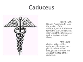 Caduceus 			Together, the Ida and Pingala nadis form the snakes of the caduceus, while Sushumna forms the staff. The snakes intersect at the chakras, as do the nadis described above.  			At the ajna chakra, between the eyebrows, there are two petals, one on either side, just as there are two wings at the top of the caduceus.