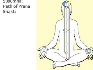 Susumna:Path of Prana Shakti