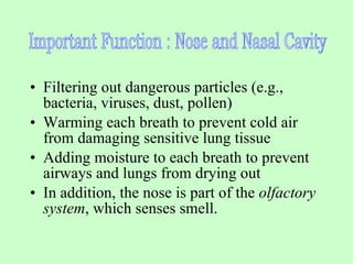 Filtering out dangerous particles (e.g., bacteria, viruses, dust, pollen) Warming each breath to prevent cold air from damaging sensitive lung tissue Adding moisture to each breath to prevent airways and lungs from drying out In addition, the nose is part of the  olfactory system , which senses smell. Important Function : Nose and Nasal Cavity  