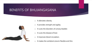 BENEFITS OF BHUJANGASANA
o It alleviates obesity.
o It provides strength and agility.
o It cures the disorders of urinary bladder.
o It cures the disease of liver.
o It improves blood circulation.
o It makes the vertebral column flexible and thin.
 