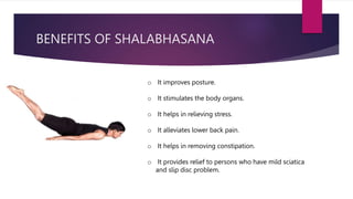 BENEFITS OF SHALABHASANA
o It improves posture.
o It stimulates the body organs.
o It helps in relieving stress.
o It alleviates lower back pain.
o It helps in removing constipation.
o It provides relief to persons who have mild sciatica
and slip disc problem.
 