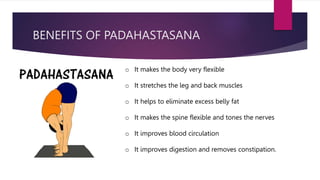 BENEFITS OF PADAHASTASANA
o It makes the body very flexible
o It stretches the leg and back muscles
o It helps to eliminate excess belly fat
o It makes the spine flexible and tones the nerves
o It improves blood circulation
o It improves digestion and removes constipation.
 