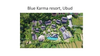 Blue Karma resort, Ubud
 