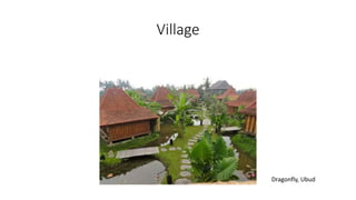 Village
Dragonfly, Ubud
 