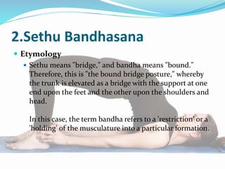 2.Sethu Bandhasana
 Etymology
 Sethu means "bridge," and bandha means "bound."
Therefore, this is "the bound bridge posture," whereby
the trunk is elevated as a bridge with the support at one
end upon the feet and the other upon the shoulders and
head.
In this case, the term bandha refers to a 'restriction' or a
'holding' of the musculature into a particular formation.
 