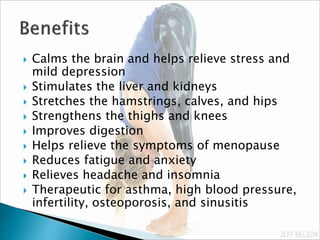  Calms the brain and helps relieve stress and
mild depression
 Stimulates the liver and kidneys
 Stretches the hamstrings, calves, and hips
 Strengthens the thighs and knees
 Improves digestion
 Helps relieve the symptoms of menopause
 Reduces fatigue and anxiety
 Relieves headache and insomnia
 Therapeutic for asthma, high blood pressure,
infertility, osteoporosis, and sinusitis
 
