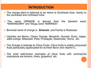 INTRODUCTION
 The orange plant is believed to be native to Southeast Asia, mainly to
the southeast and northeast India.
 The name ORANGE is derived from the Sanskrit word,
“NARANGARH” and Telugu word “NARINGA”.
 Binomial name of orange is Sinensis and Family is Rutaceae.
 Varieties are Berna, Cherry Orange, Mosambi, Sunstar, Kona, Joppa,
Jaffa orange, Midsweet, Pera, Pineapple, Qweenstar, Verna, etc.
 The Orange is belongs to Citrus Fruits. Citrus fruits is widely consumed
fruits particularly appreciated for its fresh flavor and vitamin-C.
 The most well-known examples of citrus fruits with commercial
importance are lemons, limes, grapefruit etc.
 