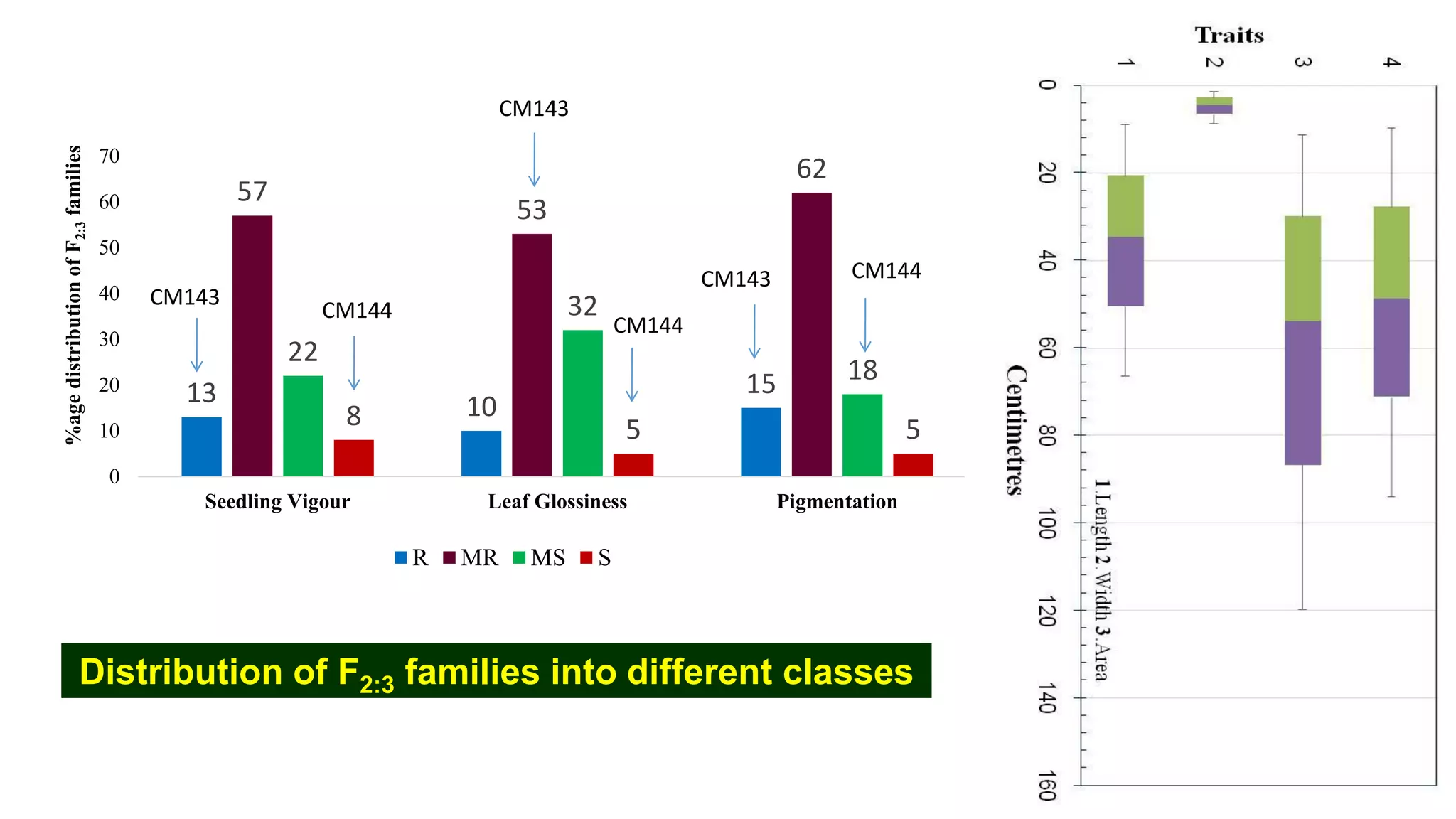 13 10
15
57
53
62
22
32
18
8 5 5
0
10
20
30
40
50
60
70
Seedling Vigour Leaf Glossiness Pigmentation
%agedistributionofF2:3families
R MR MS S
Distribution of F2:3 families into different classes
CM143
CM143
CM143
CM144
CM144
CM144
 