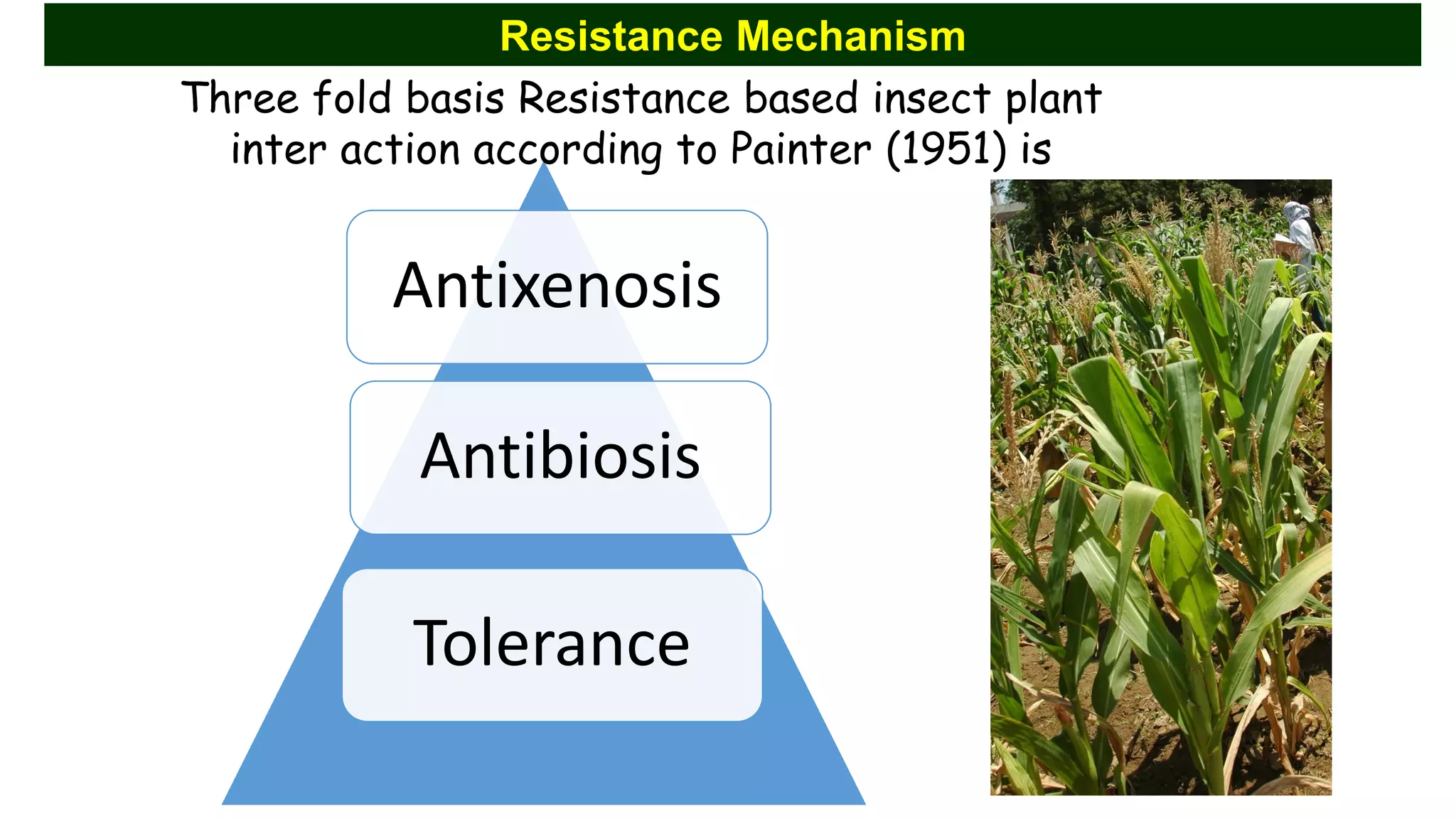 Antixenosis
Antibiosis
Tolerance
Three fold basis Resistance based insect plant
inter action according to Painter (1951) is
Resistance Mechanism
 