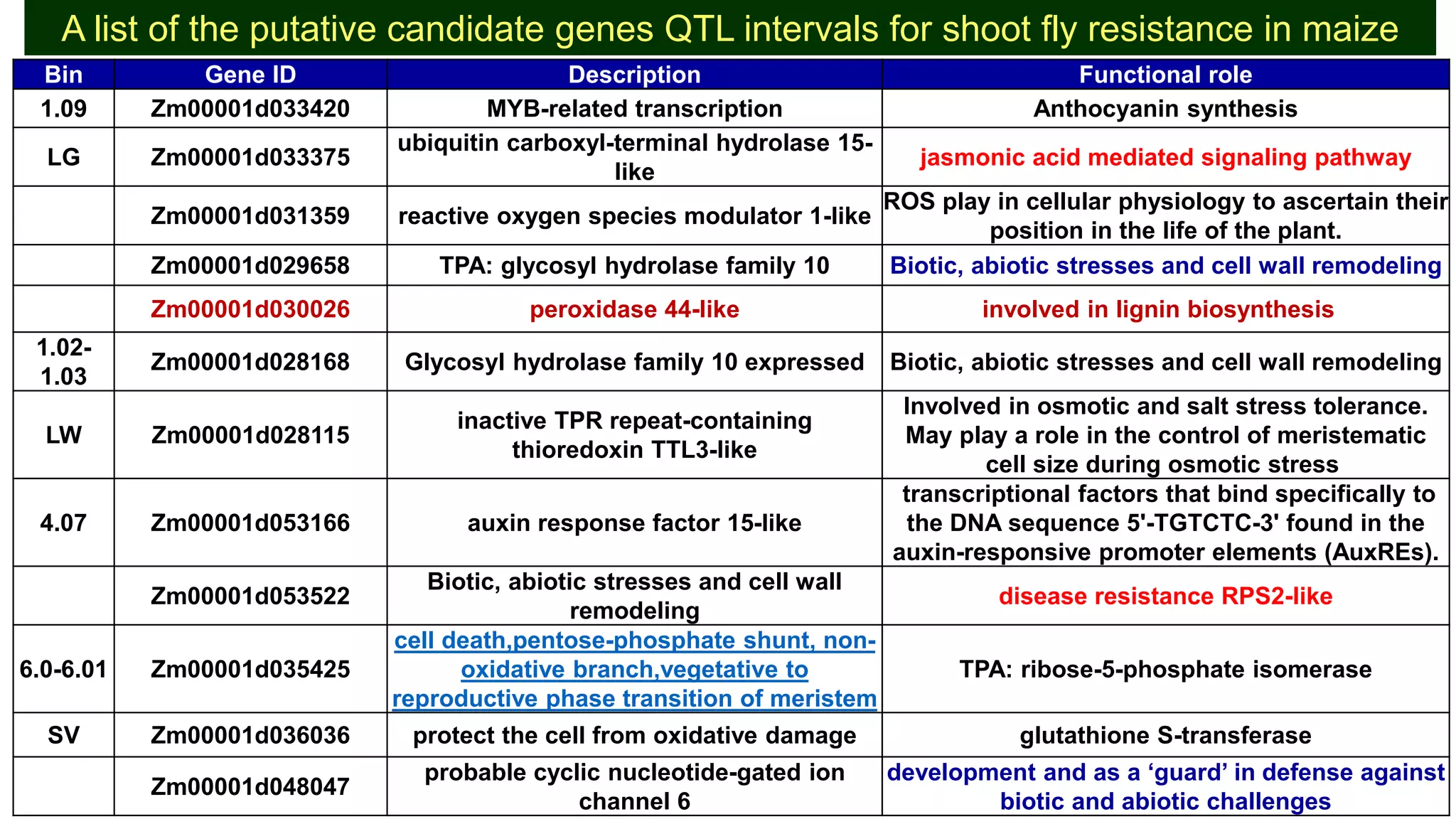 Bin Gene ID Description Functional role
1.09 Zm00001d033420 MYB-related transcription Anthocyanin synthesis
LG Zm00001d033375
ubiquitin carboxyl-terminal hydrolase 15-
like
jasmonic acid mediated signaling pathway
Zm00001d031359 reactive oxygen species modulator 1-like
ROS play in cellular physiology to ascertain their
position in the life of the plant.
Zm00001d029658 TPA: glycosyl hydrolase family 10 Biotic, abiotic stresses and cell wall remodeling
Zm00001d030026 peroxidase 44-like involved in lignin biosynthesis
1.02-
1.03
Zm00001d028168 Glycosyl hydrolase family 10 expressed Biotic, abiotic stresses and cell wall remodeling
LW Zm00001d028115
inactive TPR repeat-containing
thioredoxin TTL3-like
Involved in osmotic and salt stress tolerance.
May play a role in the control of meristematic
cell size during osmotic stress
4.07 Zm00001d053166 auxin response factor 15-like
transcriptional factors that bind specifically to
the DNA sequence 5'-TGTCTC-3' found in the
auxin-responsive promoter elements (AuxREs).
Zm00001d053522
Biotic, abiotic stresses and cell wall
remodeling
disease resistance RPS2-like
6.0-6.01 Zm00001d035425
cell death,pentose-phosphate shunt, non-
oxidative branch,vegetative to
reproductive phase transition of meristem
TPA: ribose-5-phosphate isomerase
SV Zm00001d036036 protect the cell from oxidative damage glutathione S-transferase
Zm00001d048047
probable cyclic nucleotide-gated ion
channel 6
development and as a ‘guard’ in defense against
biotic and abiotic challenges
A list of the putative candidate genes QTL intervals for shoot fly resistance in maize
 