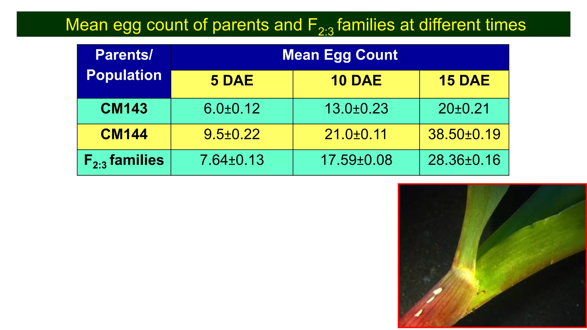 Parents/
Population
Mean Egg Count
5 DAE 10 DAE 15 DAE
CM143 6.0±0.12 13.0±0.23 20±0.21
CM144 9.5±0.22 21.0±0.11 38.50±0.19
F2:3 families 7.64±0.13 17.59±0.08 28.36±0.16
Mean egg count of parents and F2:3 families at different times
 