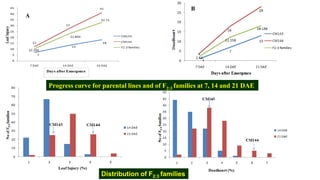 Identification of quantitative trait loci for resistance to shoot fly ...