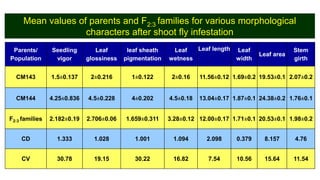 Identification of quantitative trait loci for resistance to shoot fly ...